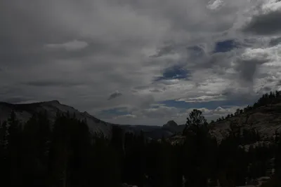 DSC_4416 (Large).JPG